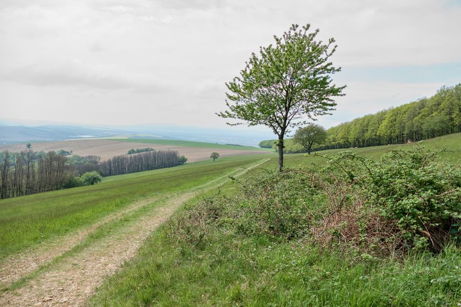 Vyhliadka pod Ovčincom, Sobotište Autor: Vlado Miček