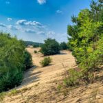 Šranecké piesky - Slovenská Sahara